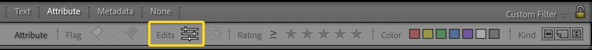 Lightroom Edits filter activated